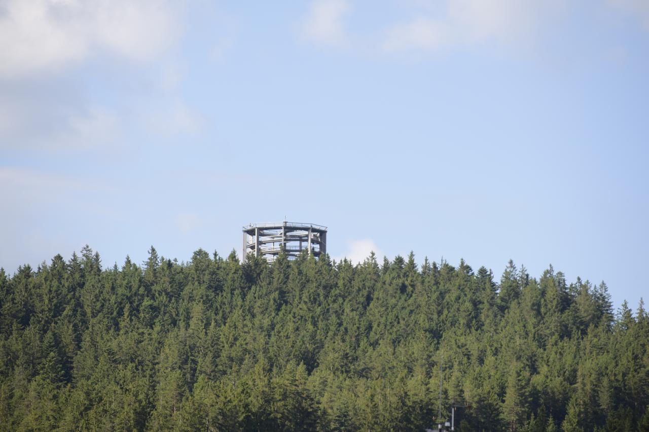 Richard Lipno nad Vltavou